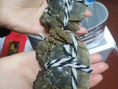 -七的湖·晚芳亭·阳澄湖农家菜·大闸蟹(莲花岛店)
