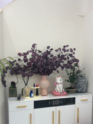 -WENDY·温迪皮肤管理