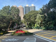 -香港大学