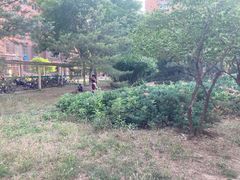 -贞姬紫菜包饭(金泰广场店)