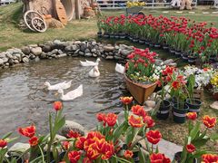 -HERRE·FARM 赫尔露营农场·团建聚会包场