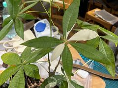 -如果·追梦手工皮具DIY教学店(田子坊店)