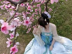 -秀丽东方