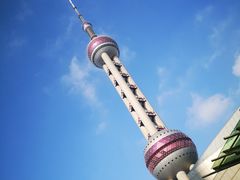 -上海海洋水族馆