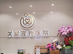 -关爱宠物医院·猫科中心·消化科(滨湖万达分院)