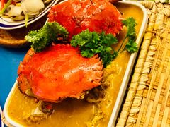 -茉莉.Red Crab