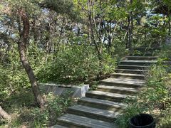 -棒棰岛宾馆景区