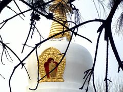 -护国法轮寺