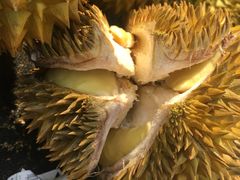 榴莲-鲜力达果品批发直销(汇金店)