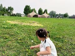 -圣露庄园·露营·烤肉·亲子