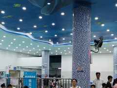 -黄金海岸水上乐园