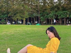 -黄海国家森林公园