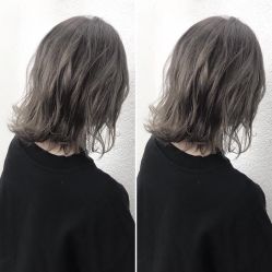 点击看大图 -金棕榈