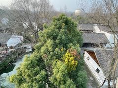 -西溪国家湿地公园