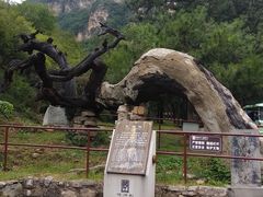 -藏山旅游风景区