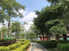 -飞来湖湿地公园