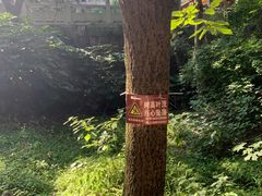 -穹窿山景区