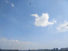 -柳湖沙月沙滩公园