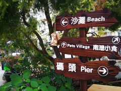 -南丫岛