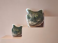 -猫儿山۰猫主题餐厅