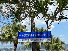 -鹿回头风景区