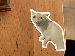 -有猫主题·治愈系猫咖(曾厝垵店)