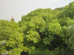-苏州吴宫泛太平洋酒店