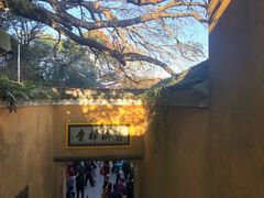 -普陀山慧济禅寺