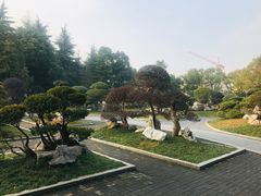 -屈原公园