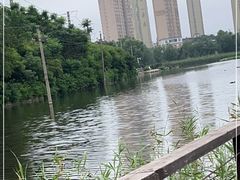 -前关湿地公园