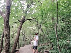 -紫金山山顶公园