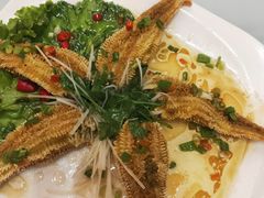 豉油海星-映像威海·海鲜味道(经区店)