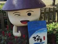 -上海都市菜园