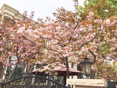 -天津五大道文化旅游区