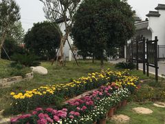 -武汉紫薇都市田园