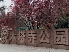 -木塔寺遗址生态公园