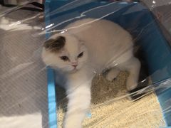 -首开·龙湖成都西宸天街