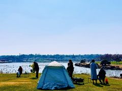 -上海海湾国家森林公园