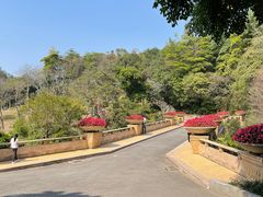 -云溪植物园