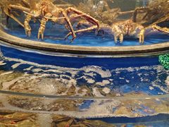 -上和臻品中国菜(花园街店)