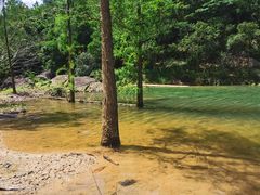 -广州白江湖森林公园