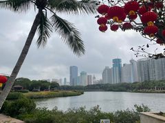 -万绿园