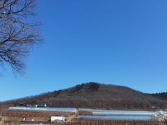 -金石滩蓝莓谷庄园