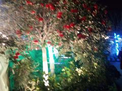 -茅草房·河畔园林火锅