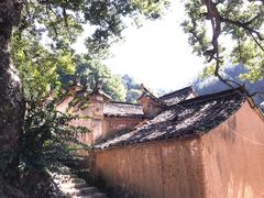 -杨家堂村