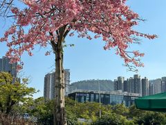 -星巴克(深圳前海企业公馆店)