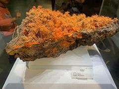 -湖南省地质博物馆