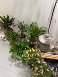 -RUMI日弥美容会所