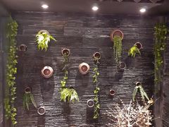 -一只烧鸡公(解放碑店)