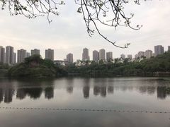 -重庆彩云湖湿地公园